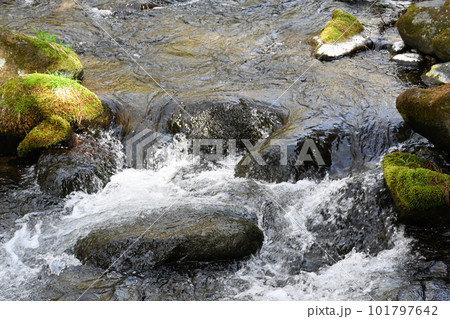 沢名川 渓流の流れ【栃木県那須塩原市】 101797642