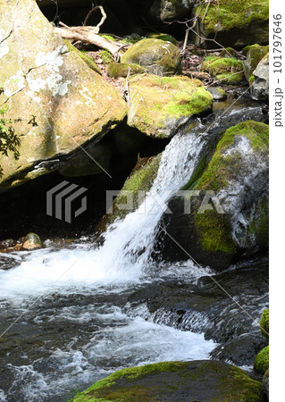 沢名川 渓流の流れ【栃木県那須塩原市】 101797646