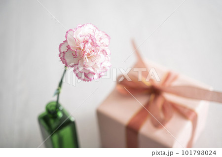 カーネーションの一輪挿しとプレゼントボックス 101798024