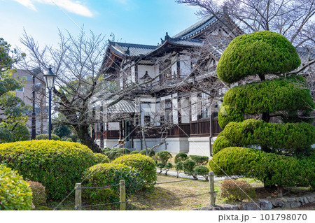 奈良県今井町 今井まちなみ交流センター 奈良県今井町 今井まちなみ交流センター 101798070