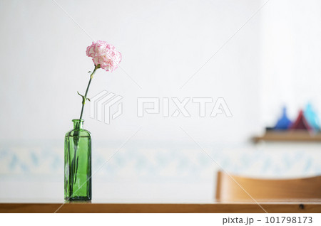 カーネーションの一輪挿し カーネーションの一輪挿し 101798173