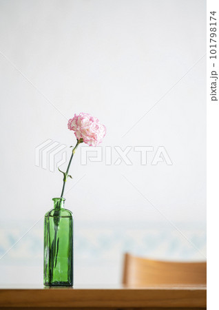 カーネーションの一輪挿し 101798174
