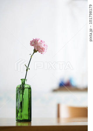 カーネーションの一輪挿し カーネーションの一輪挿し 101798179