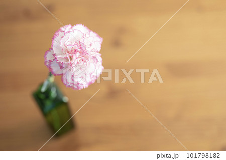 カーネーションの一輪挿し 101798182
