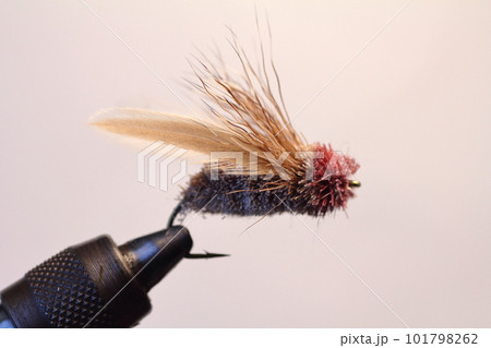 フライフィッシング　毛ばり　ドライフライ　春ゼミフライ　シケーダー 101798262