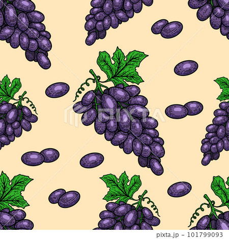 Seamless pattern with grape. Design element for poster, card, banner, t shirt. Vector illustration 101799093