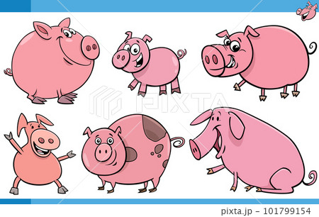 funny cartoon pigs farm animals comic characters set 101799154