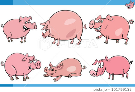 funny cartoon pigs farm animal characters set 101799155