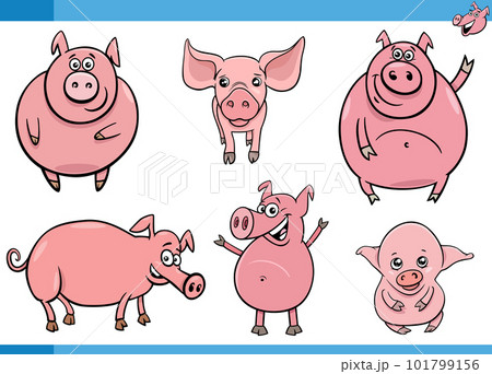 cute cartoon pigs farm animal characters set 101799156