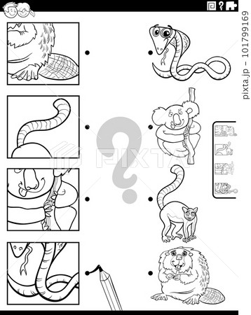 match cartoon animals and clippings task coloring page 101799169