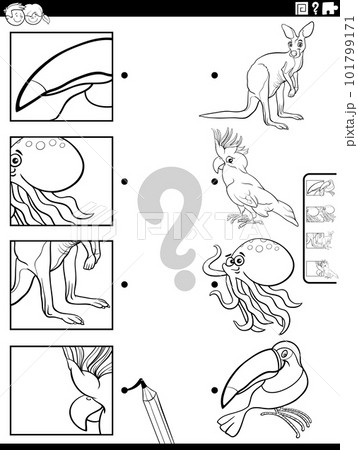 match cartoon animals and clippings activity coloring page 101799171