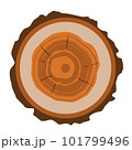 Flat design illustration of a cross section of a tree trunk with rings and bark, vector 101799496