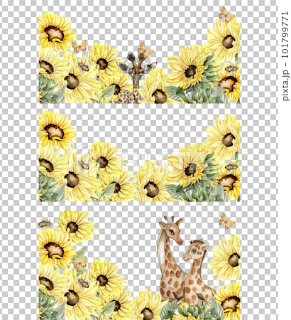 Watercolor horizontal seamless background with sunflowers set. Butterflies in cartoon style. Hand drawn illustration of summer.Perfect for scrapbooking, kids design,wedding invitation,greetings cards. 101799771