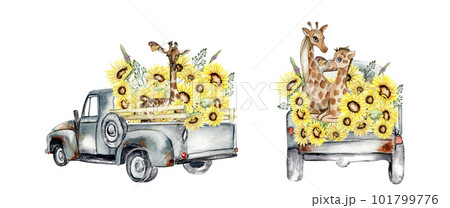 Watercolor composition with sunflowers and farm car in cartoon style.Hand drawn illustration of summer. Perfect for scrapbooking, kids design, wedding invitation,posters, greetings cards. 101799776