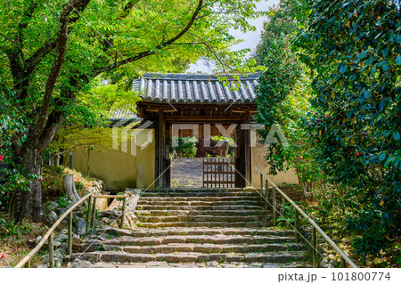 【奈良県】奈良市 白毫寺 (2023/04/11撮影) 【奈良県】奈良市 白毫寺 (2023/04/11撮影) 101800774