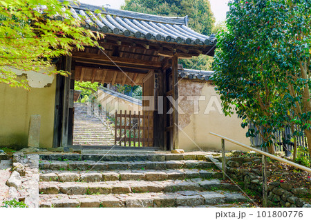 【奈良県】奈良市 白毫寺 (2023/04/11撮影) 101800776