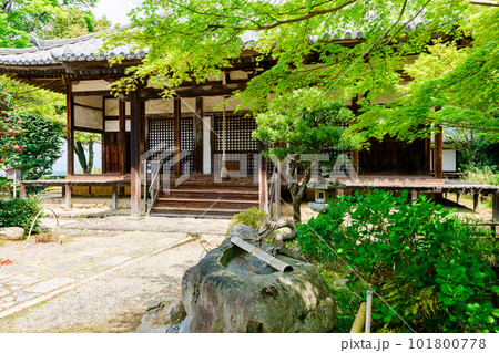 【奈良県】奈良市 白毫寺 (2023/04/11撮影) 【奈良県】奈良市 白毫寺 (2023/04/11撮影) 101800778