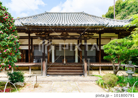 【奈良県】奈良市 白毫寺 (2023/04/11撮影) 101800791