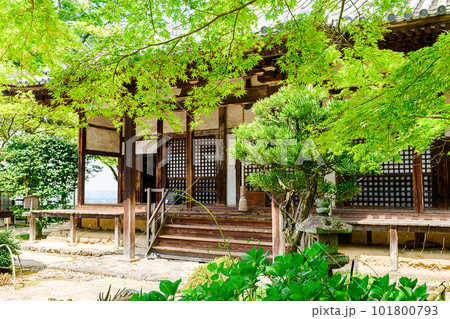 【奈良県】奈良市 白毫寺 (2023/04/11撮影) 101800793