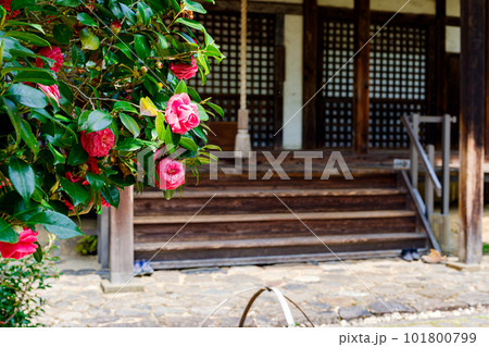 【奈良県】奈良市 白毫寺 (2023/04/11撮影) 101800799