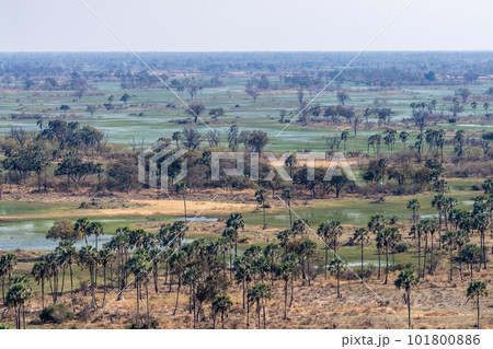 Aerial view of the Okavango Delta Aerial view of the Okavango Delta 101800886