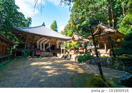 【西国三十三所】第二十七番　圓教寺　秋の木漏れ日にたたずむ奥の院6　兵庫県姫路市 101800916