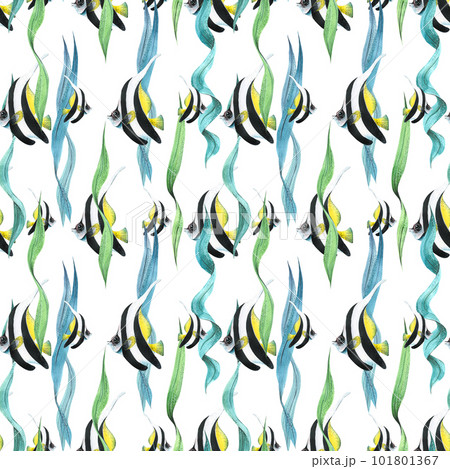 Bright, striped, tropical yellow-black-white fish moorish idol with seaweed. Watercolor illustration, hand drawn. Seamless pattern on a white background. 101801367