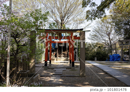 大阪・天王寺安居神社の稲荷神社赤鳥居（2023年4月1日撮影） 101801476