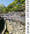 杖立温泉舞い上がる鯉のぼり 101801509