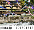 杖立温泉の鯉のぼり 101801512