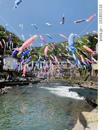 風に乗って騒ぎ出す鯉のぼり達 101801516