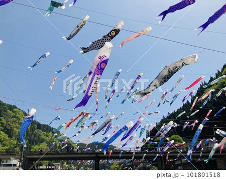 空高く舞い上がる鯉のぼり泳ぐ鯉のぼり 101801518
