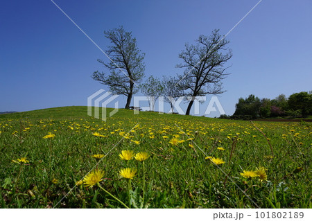 岡山県津山市にある都市型公園「グリーンヒルズ津山」 101802189