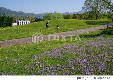岡山県津山市にある都市型公園「グリーンヒルズ津山」 岡山県津山市にある都市型公園「グリーンヒルズ津山」 101802242