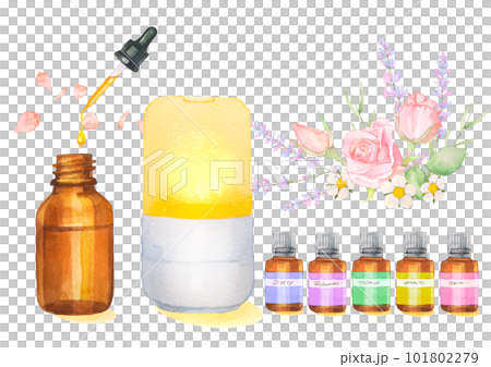 Watercolor illustration of aroma oil and rose and lavender scent 101802279