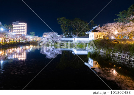 神奈川県小田原市 夜の小田原城と夜桜 神奈川県小田原市 夜の小田原城と夜桜 101802488