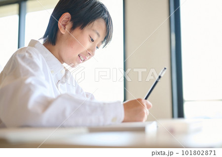 勉強をする小学生の男の子 勉強をする小学生の男の子 101802871