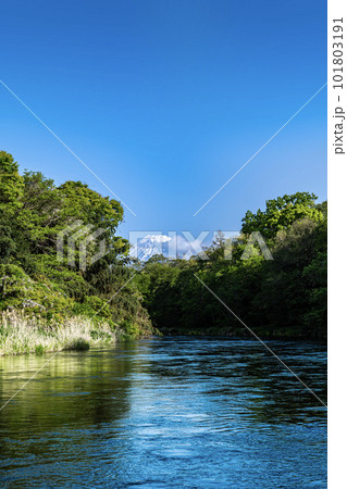 静岡県の駿東郡清水町を流れる清流で有名な柿田川と富士山 101803191