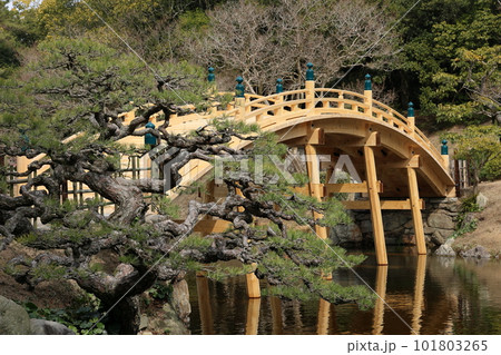 早春の栗林公園（3月上旬） 101803265