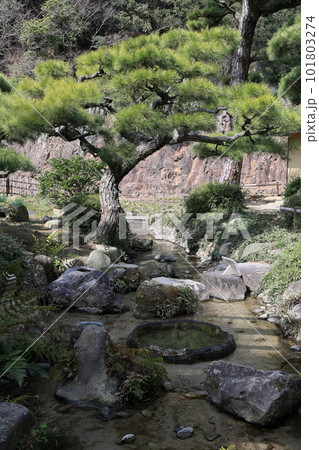 早春の栗林公園（3月上旬） 101803274