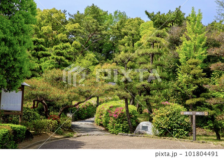 大府市、大倉公園休憩棟と満開のツツジ 101804491