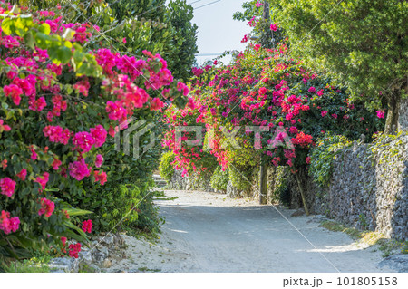 沖縄県　竹富島の町並み 101805158