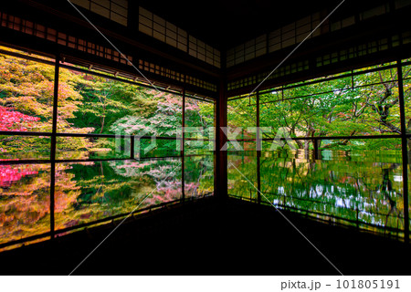 京都の紅葉 101805191