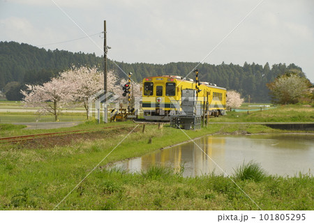 いすみ鉄道300形 101805295