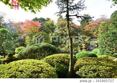 日光の社寺 日光山輪王寺 逍遥園の緑 101805727