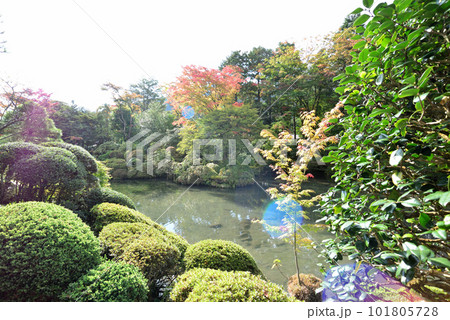 日光の社寺 日光山輪王寺 逍遥園の池と樹木たち 101805728