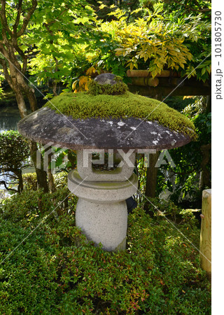 苔に覆われた石造りの燈籠 日光山輪王寺逍遥園 苔に覆われた石造りの燈籠 日光山輪王寺逍遥園 101805730