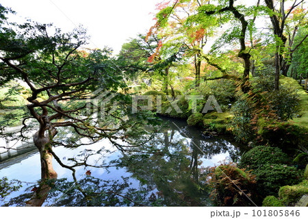 日本庭園の水辺全景 日光山輪王寺逍遥園 日本庭園の水辺全景 日光山輪王寺逍遥園 101805846