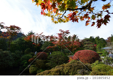 見事な紅葉の日本庭園の木々 秋イメージ 日光山輪王寺逍遥園 101805852