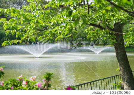 新緑の名城公園〈愛知県名古屋市〉 101806066